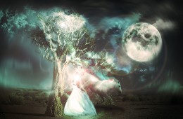 ARTWORK – DISTANT VOICES